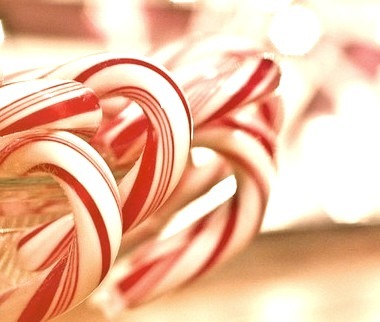 Candy Cane, Christmas